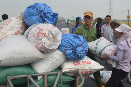 Ứng phó với bão số 7: Thái Bình di dân vào trong đê chính, đến nơi trú bão an toàn