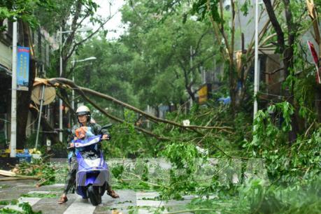Bão Sarika gây thiệt hại nặng nề tại Philippines và Trung Quốc