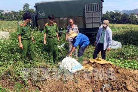 Tiêu hủy hơn 1,1 tấn thực phẩm bẩn