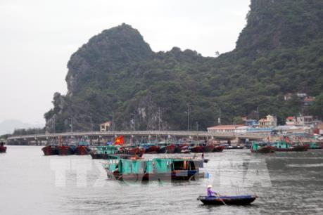 Ba ngư dân mất tích trên biển Bạch Long Vỹ