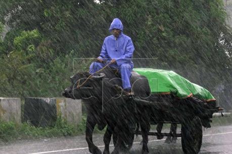 Bão Sarika đổ bộ vào miền Nam Trung Quốc