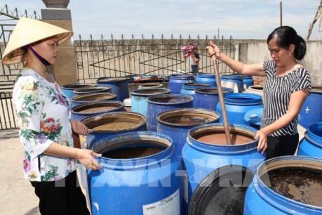 Vụ nước mắm có chứa thạch tín cao: Hiệp hội Nước mắm Phan Thiết lên tiếng