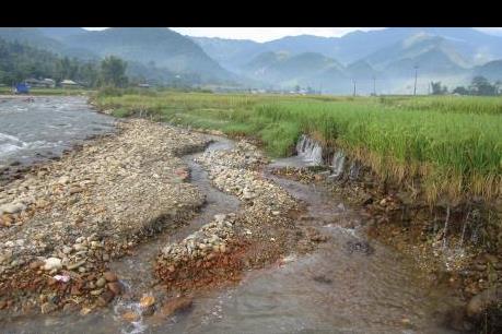 Thái Bình tích tụ ruộng đất, ưu tiên phát triển nông nghiệp công nghệ cao