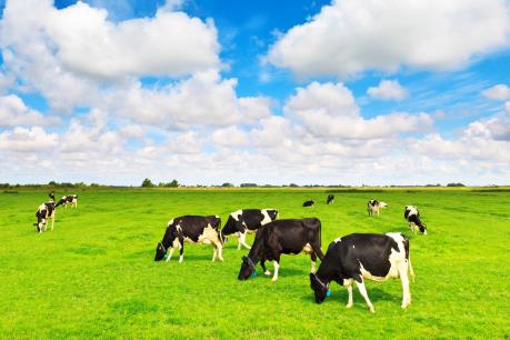 Vinamilk lãi hơn 9.000 tỷ đồng sau 9 tháng