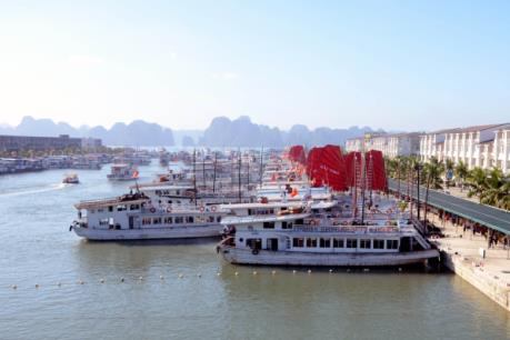 Saigontourist mở rộng khai thác dịch vụ du lịch bằng tàu biển