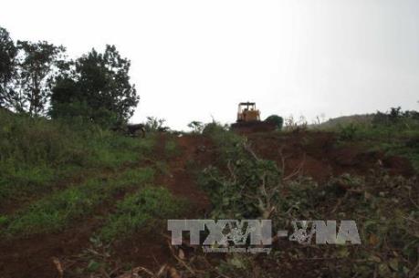 Vụ nổ súng tranh chấp đất rừng ở Đắk Nông: Một đối tượng ra đầu thú