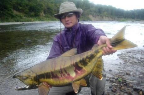 Thực phẩm chất lượng cao: Hướng đi mới cho xuất khẩu của Nhật Bản