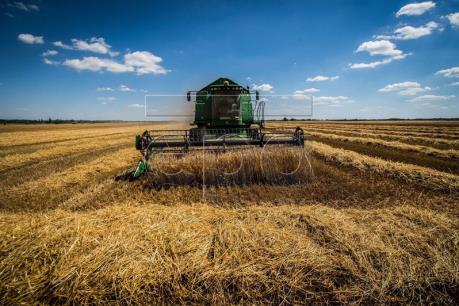 Diễn biến trên thị trường nông sản tuần qua