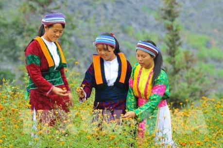 Những hình ảnh đẹp về nghề xe lanh dệt vải của người Mông