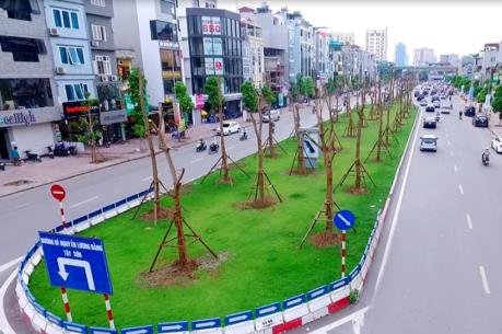 Hà Nội trồng thay thế cây chết tại Nguyễn Xiển - Nghiêm Xuân Yên