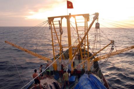 Bình Định: Hai tàu cá gặp sự cố trên biển