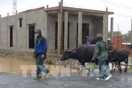 Dự báo thời tiết: Trung Bộ tiếp tục có mưa to đến rất to trong 2 ngày tới