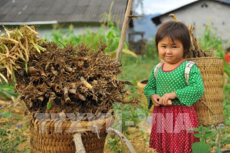 Quẩy tấu - nét đẹp của người dân vùng cao
