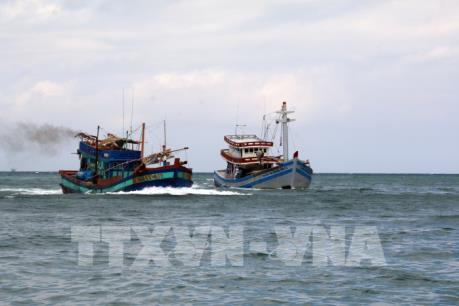 Bình Thuận: Tàu cá bị tàu vận tải đâm chìm trên biển