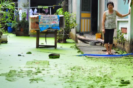 Sống chung với ngập lụt dù trời không mưa