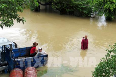 Phú Yên: Cứu sống người đàn ông sau 11 giờ đu bám trên cây tránh lũ