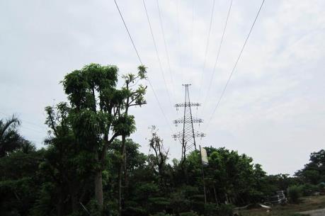 An toàn lưới điện cao áp tại miền Trung, Tây Nguyên – Bài 1: Địa hình phức tạp