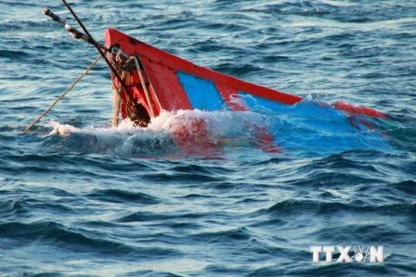 Bình Thuận: 7 tàu cá bị chìm do ảnh hưởng của áp thấp nhiệt đới