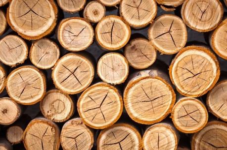 TTF: Cổ phiếu TTF có khả năng bị hủy niêm yết bắt buộc