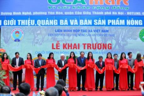 Khai trương 3 siêu thị tiêu thụ nông sản an toàn tại Hà Nội