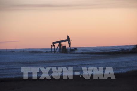 Giá dầu tăng trước thềm cuộc họp OPEC