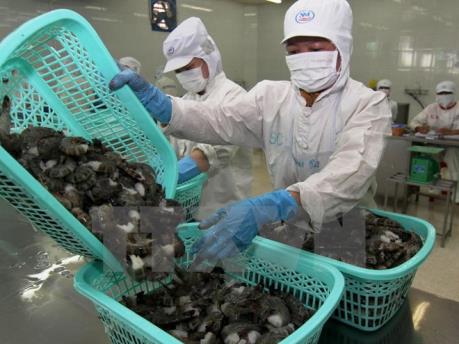 Kết luận đối với sản phẩm tôm nước ấm đông lạnh của Việt Nam