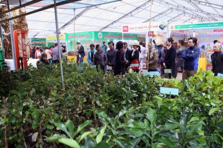 Đưa nông sản an toàn, chất lượng đến người tiêu dùng