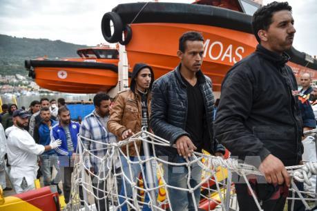 1400 người di cư được cứu trên Địa Trung hải