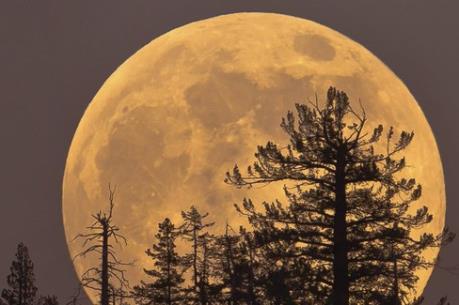 Chuẩn bị đón siêu trăng màu hồng ấn tượng nhất trong năm
