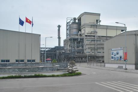 Kết luận thanh tra việc đầu tư 2 dự án nhiên liệu sinh học và xơ sợi Đình Vũ