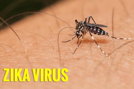 Thêm 3 ca nhiễm vi rút Zika tại Thành phố Hồ Chí Minh