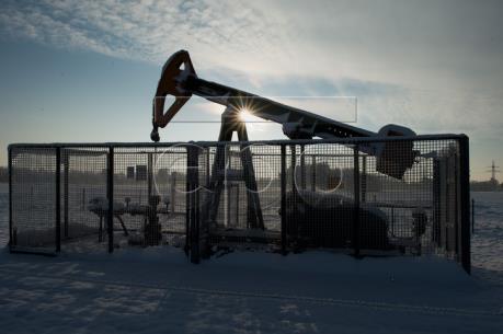 Giá dầu phục hồi tại thị trường châu Á