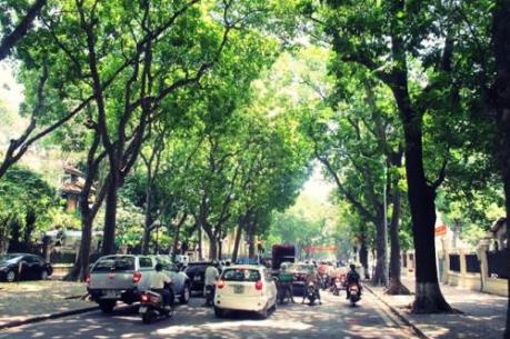 Dự báo thời tiết 3 ngày tới: Bắc Bộ nắng ráo, Nam Bộ triều cường tiếp diễn