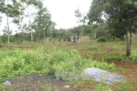 Trả hồ sơ điều tra bổ sung vụ xô xát vì tranh chấp đất rừng tại Đắk Nông