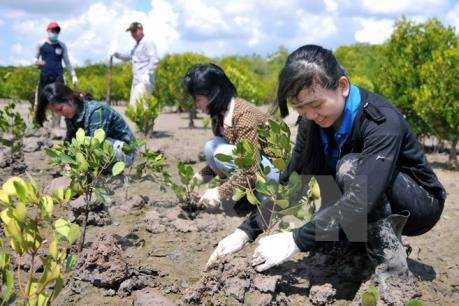 Biến đổi khí hậu tác động thế nào tới tăng trưởng kinh tế?