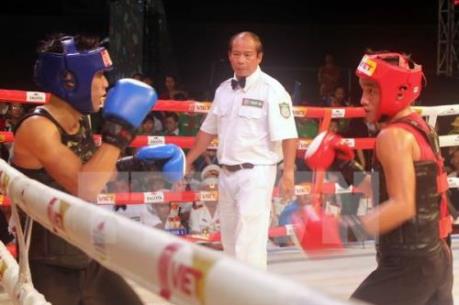 Đầu tư gần 100 tỷ đồng bảo tồn và phát huy Võ cổ truyền Bình Định