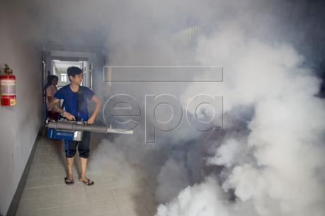 WHO: Zika không còn là tình trạng khẩn cấp toàn cầu