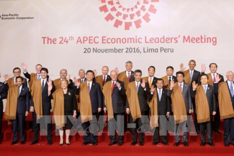 Chủ tịch nước Trần Đại Quang dự Phiên họp toàn thể Hội nghị Cấp cao APEC 2016 tại Peru