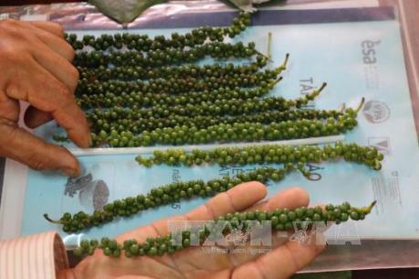 Nhận diện các mặt hàng xuất khẩu sang thị trường EAEU