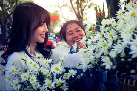 Hà Nội đẹp ngỡ ngàng mùa cúc họa mi