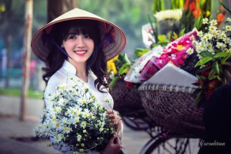 Hà Nội đẹp ngỡ ngàng mùa cúc họa mi