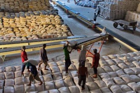 Chương trình trợ giá có thể đẩy giá gạo nếp tại Thái Lan tăng vọt