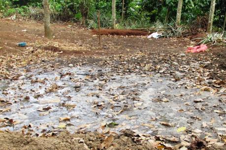 Tiền Giang xử phạt doanh nghiệp gây ô nhiễm môi trường