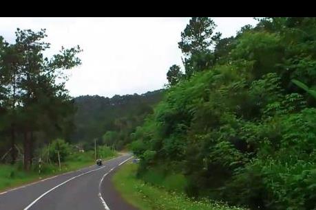 Thủ tướng có ý kiến về việc cải tạo đường qua đèo Mimosa