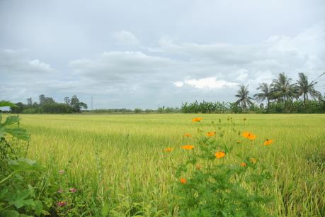  Chuyển mục đích sử dụng đất tại Hà Nội 