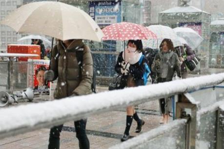 Lần đầu tiên trong 54 năm qua, tuyết rơi bất thường ở Tokyo vào tháng 11