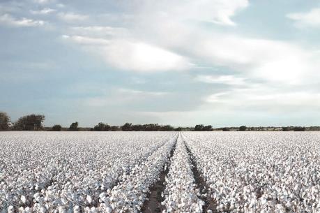 Trung Quốc - yếu tố chi phối xu hướng biến động giá nông sản năm 2017