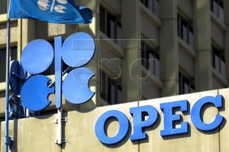 Saudi Arabia không tham dự cuộc họp ngày 28/11 với các nước sản xuất dầu ngoài OPEC