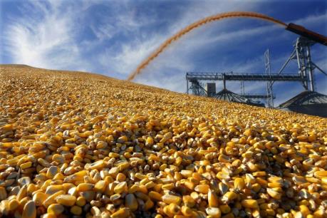 Điểm lại thị trường nông sản tuần qua