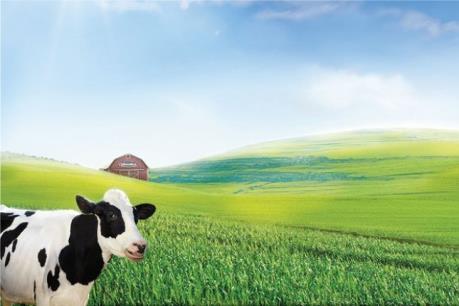 SCIC chào bán VNM với giá khởi điểm 144.000 đồng/cổ phiếu